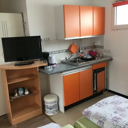 בית הארחה Gaestezimmer Siminciuc 3*