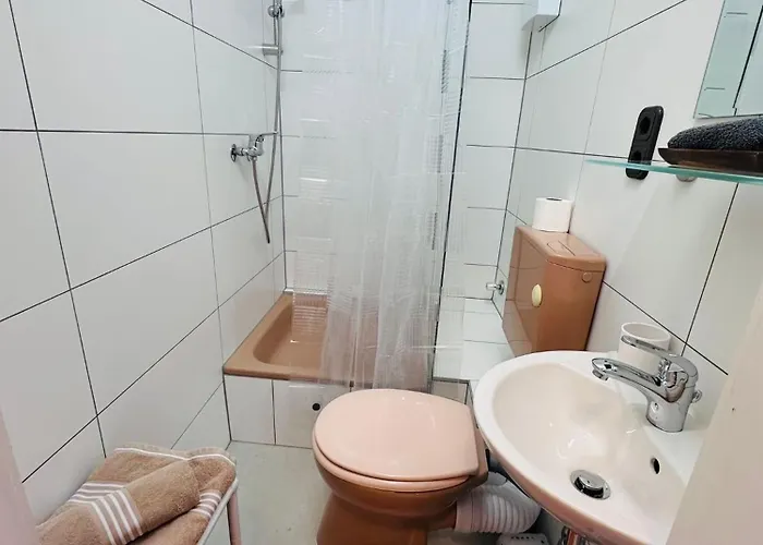 Gaestezimmer Siminciuc 3*